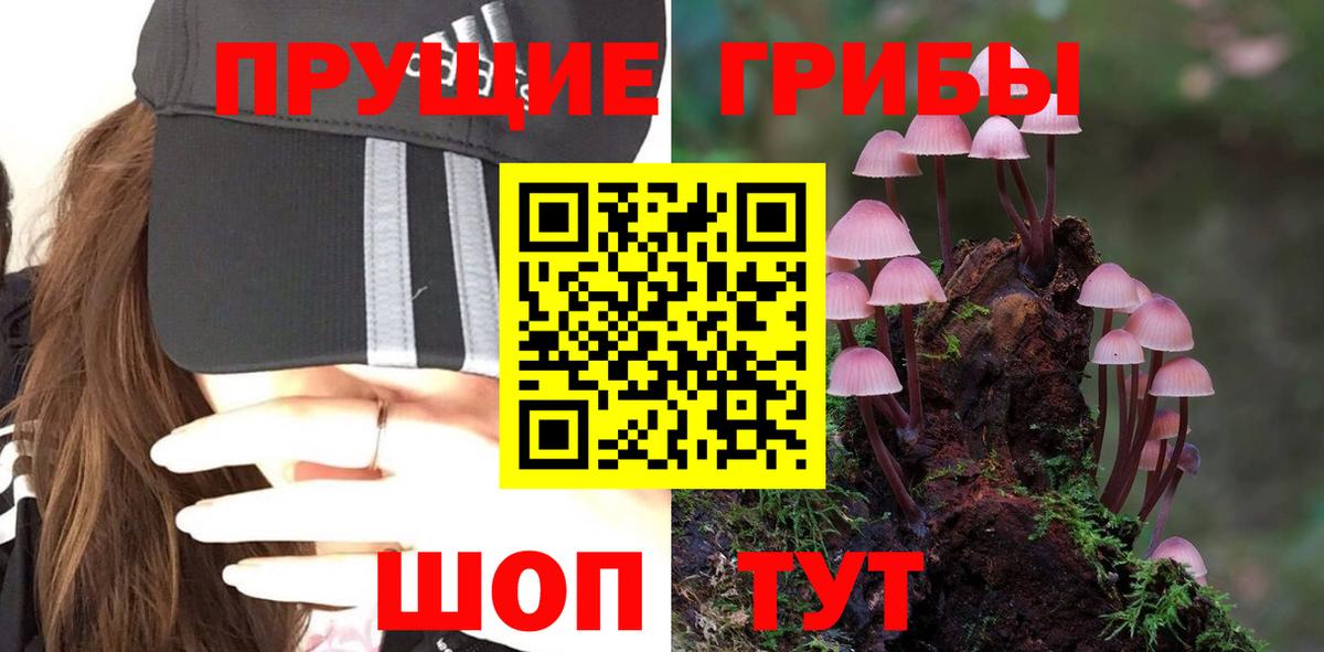 Галлюциногенные грибы MAGIC MUSHROOMS Казань